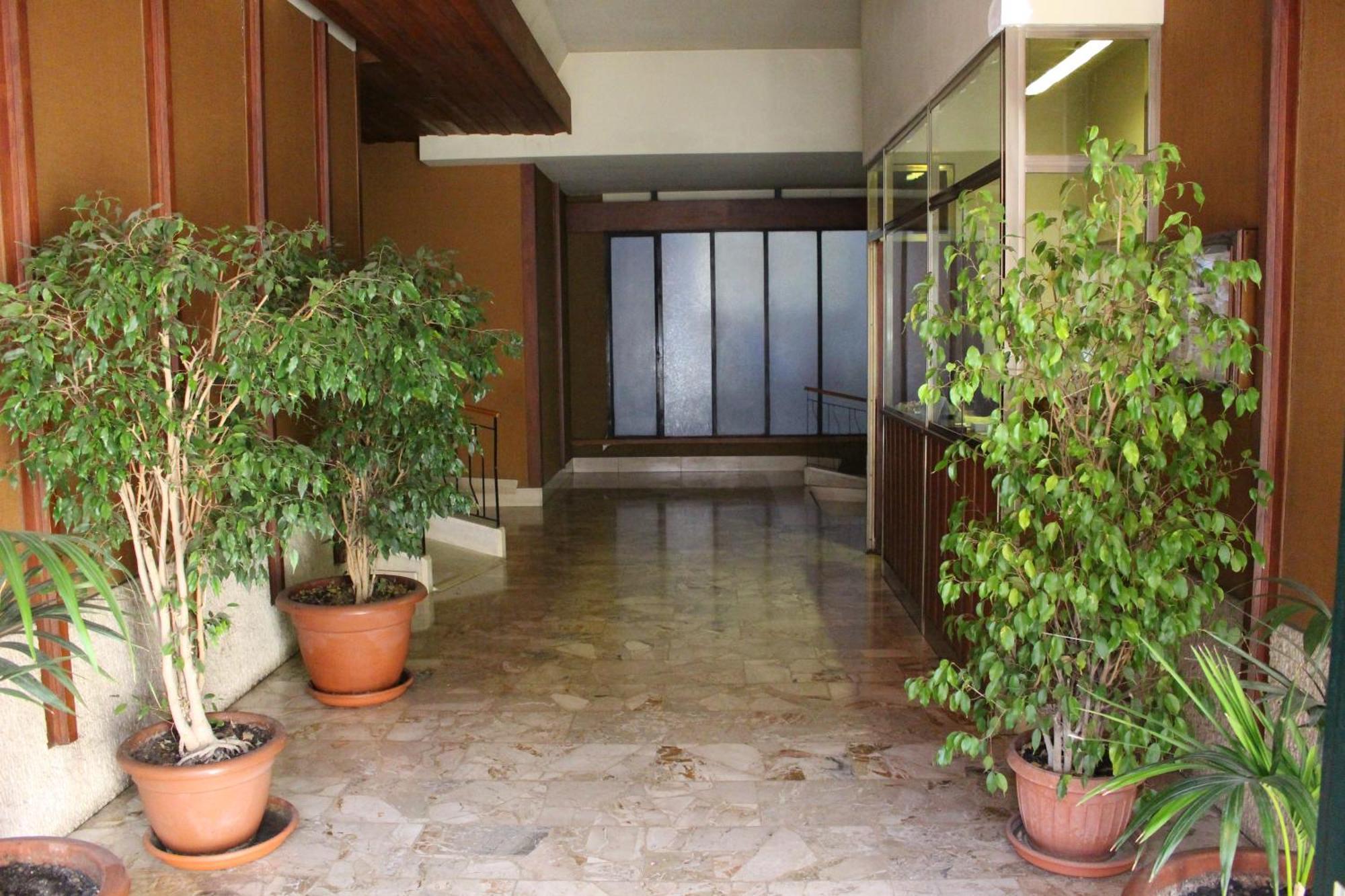 New Hill Apartment